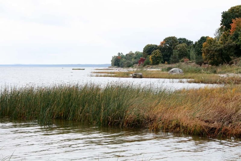 Baltic Sea Coastal Scenery and Cape Kolka From Riga - Ēvaži Steep And Views Across The Gulf