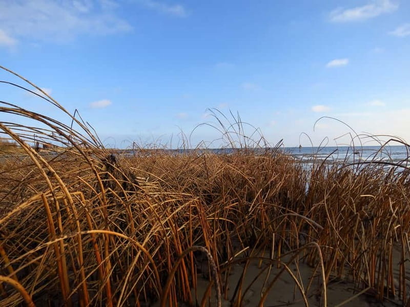 Baltic Sea Coastal Scenery and Cape Kolka From Riga - Fishing Villages And The Human Side Of The Coast