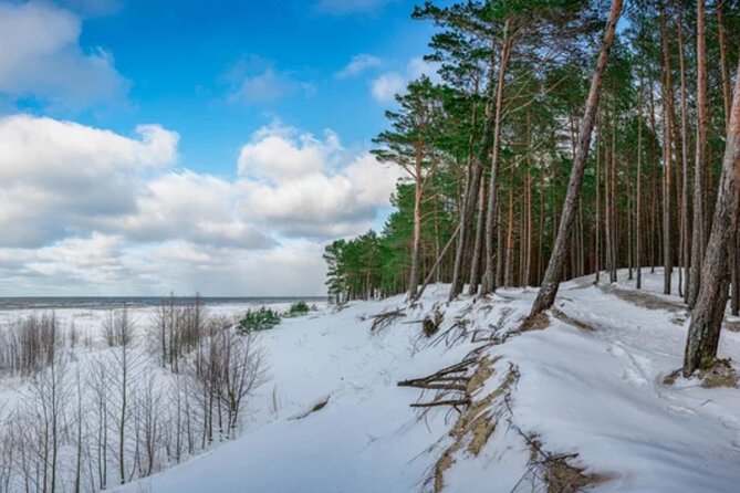 Best of Latvia, Jurmala, Kemeri N Park, Kuldiga City, Food & More - Two hours on the Great Kemeri Bog Boardwalk