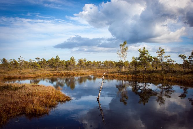 Bogs and Resorts in Jūrmala - Five things to know before you book