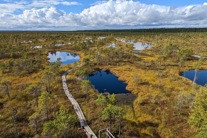 Bogs and Resorts in Jūrmala - What the $219.80 price really buys you