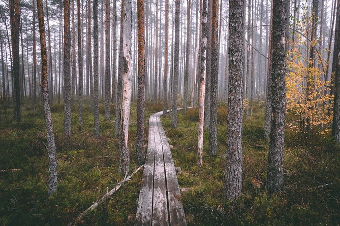 Bogs and Resorts in Jūrmala - Timing, pickup, and the private format
