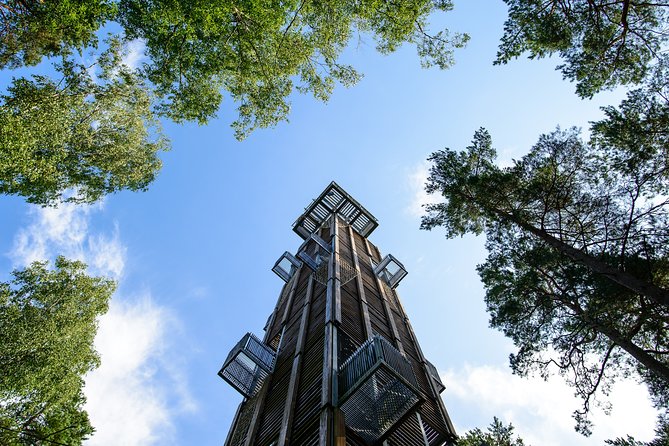 Bogs and Resorts in Jūrmala - Two hours on the ancient Kemeri Bog