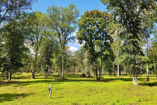 Discover Best Of Gauja National Park In One Day - Leaving Riga for Gauja National Park