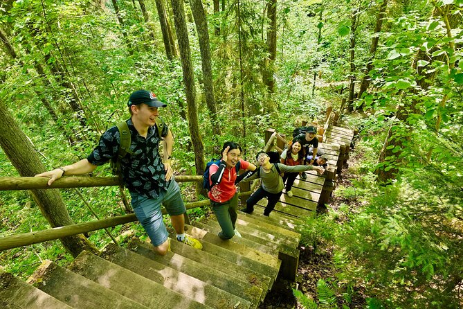 Discover Best Of Gauja National Park In One Day - Timing, weather, and practical preparation