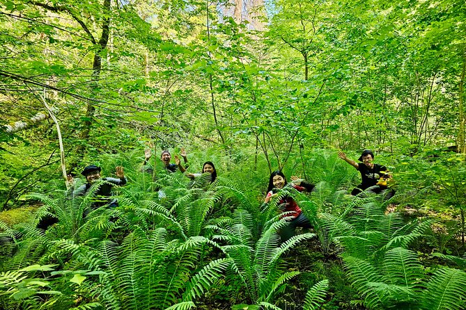 Discover Best Of Gauja National Park In One Day - Three hours among Gauja’s forests and river views