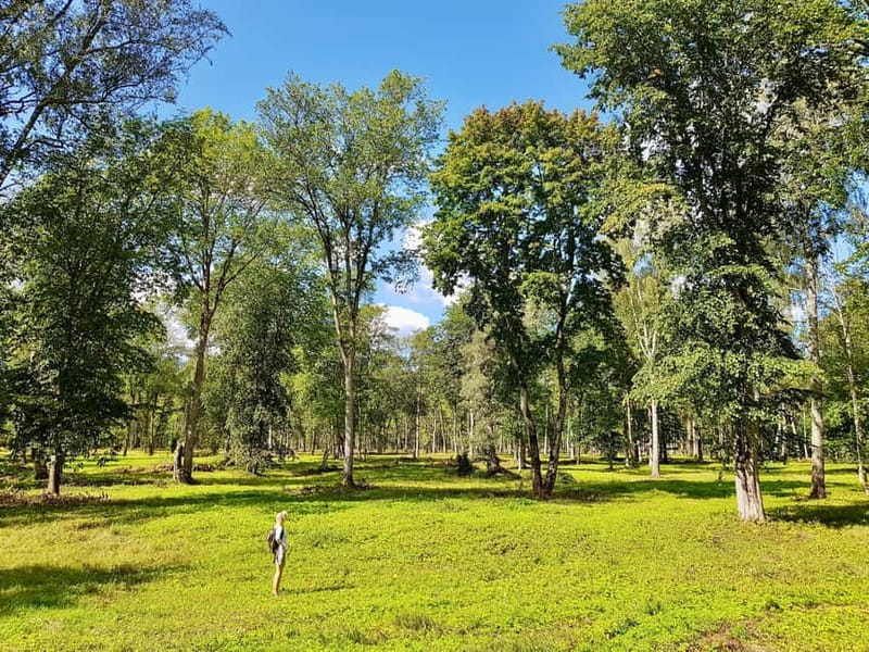 Discover Best of Sigulda and Gauja National Park In One Day - Key points to know before booking