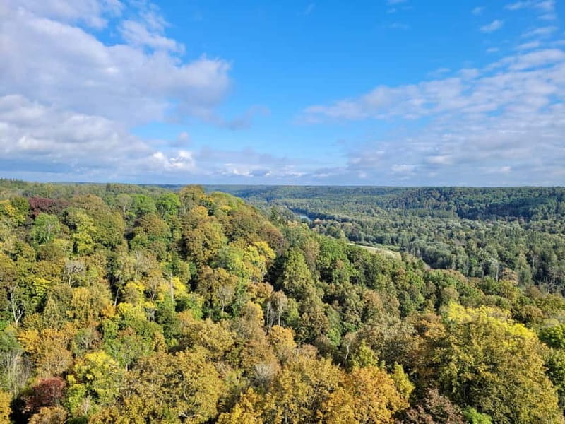 Discover Best of Sigulda and Gauja National Park In One Day - Why Gauja National Park works as a day trip from Riga