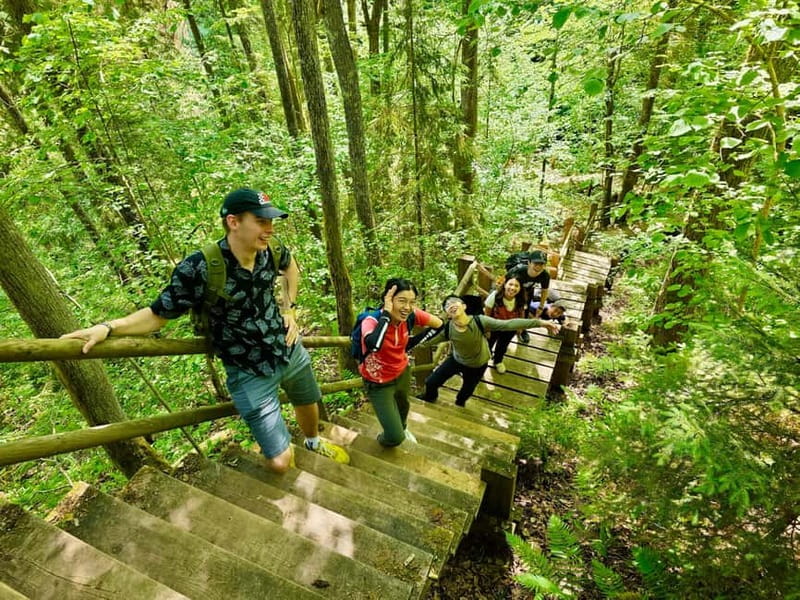 Discover Best of Sigulda and Gauja National Park In One Day - Lunch, local food, and what you pay for