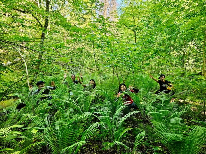 Discover Best of Sigulda and Gauja National Park In One Day - The guide makes the difference