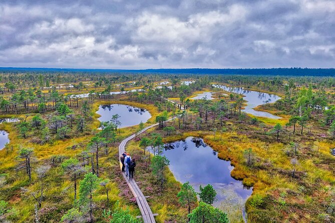 From Riga: Best of Kemeri National Park In One Day - Key things to know before booking