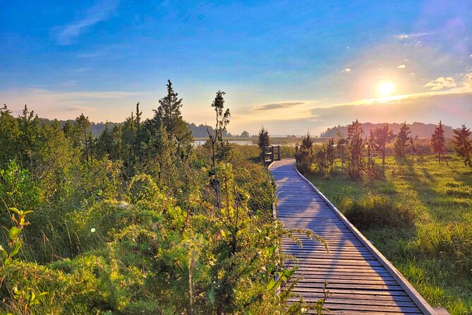 From Riga: Best of Kemeri National Park In One Day - Lake Kaņieris is the best stop for birdwatching