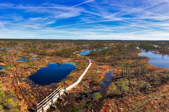 From Riga: Best of Kemeri National Park In One Day - Ragaciems brings you to the Gulf of Riga