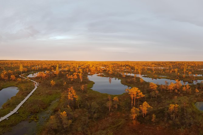 From Riga: Best of Kemeri National Park In One Day - The local food makes the day feel less generic