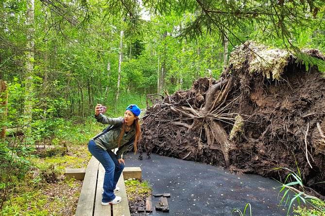 From Riga: Best of Kemeri National Park In One Day - How the guide and small group affect the experience