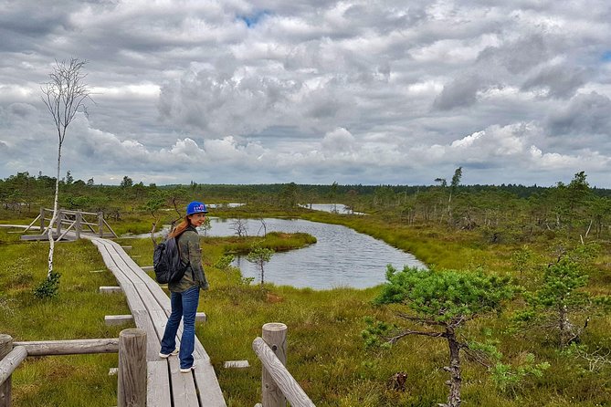 From Riga: Best of Kemeri National Park In One Day - Is $235.33 fair for a day outside Riga?