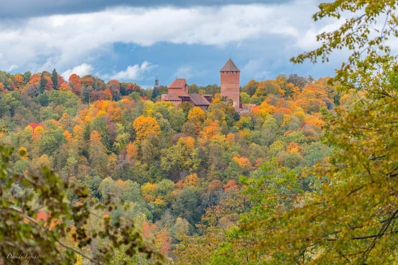 From Riga: Cesis and Sigulda Day Trip with Hotel Transfers - Ungurmuiža, Latvia’s wooden Baroque survivor