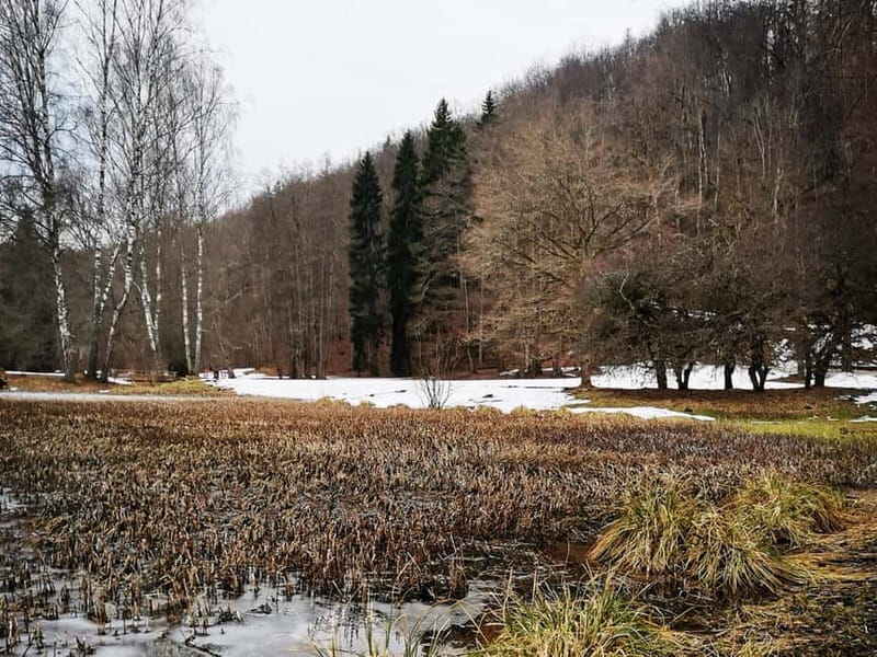 From Riga: Cesis and Sigulda Day Trip with Hotel Transfers - Ligatne Paper Mill village, a useful pause