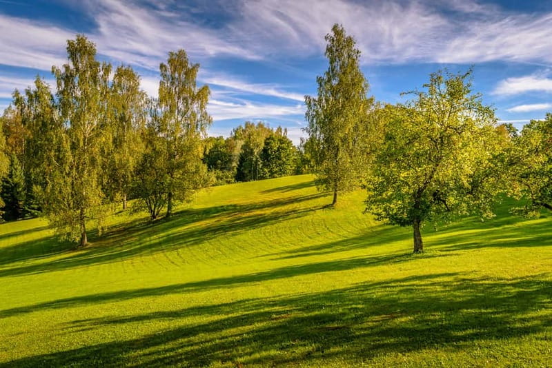 From Riga: Cēsis, Sigulda & Turaida Castle Tour - Two hours at the Turaida Museum Reserve