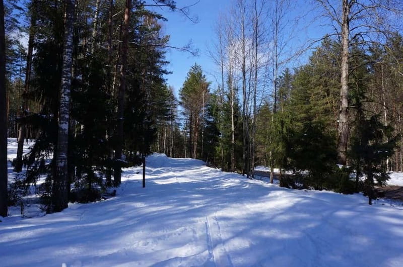 From Riga: Cross-country skiing and beating heart memorial - Choosing skis and finding your rhythm