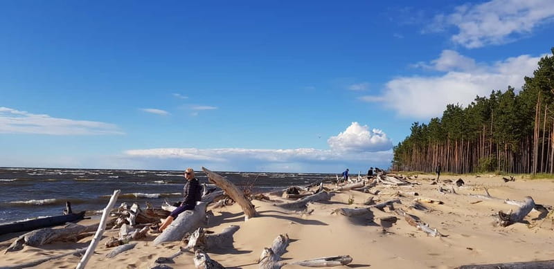 From Riga: Four Natural Ecosystems In One Hike - Key points to know before you book