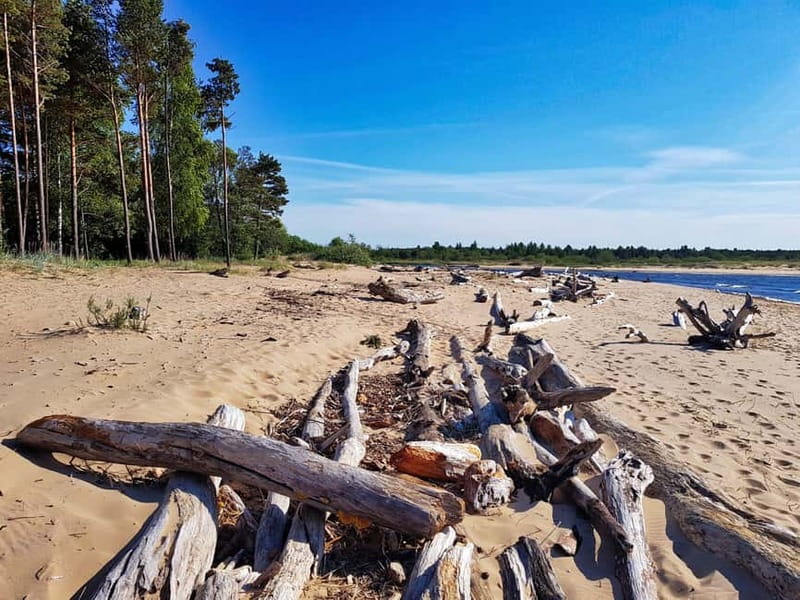 From Riga: Four Natural Ecosystems In One Hike - The Baltic beach offers space and quiet