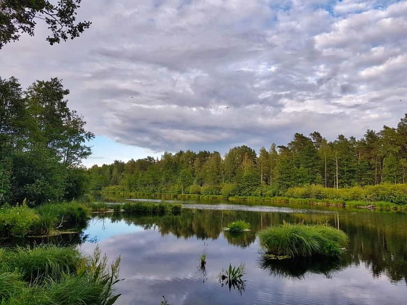 From Riga: Four Natural Ecosystems In One Hike - Improv travel keeps the walk from feeling formal