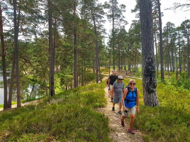 From Riga: Four Natural Ecosystems In One Hike - Is $147 a fair price for six hours?