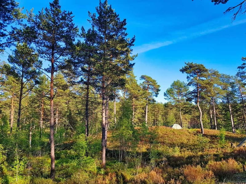 From Riga: Four Natural Ecosystems In One Hike - How hard is the 10 to 15-kilometer route?