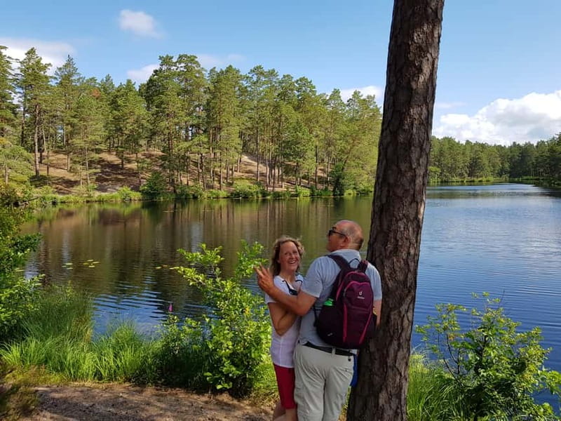 From Riga: Four Natural Ecosystems In One Hike - The pine forest sets an easy pace