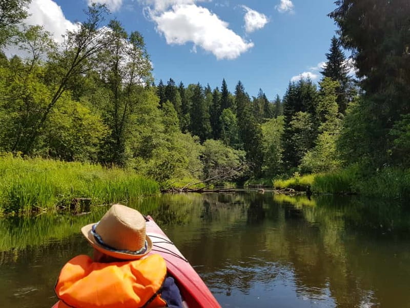 From Riga: Full-Day Scenic Gauja River Valley Kayaking Trip - Sandstone cliffs, steep banks, and the quiet middle hours