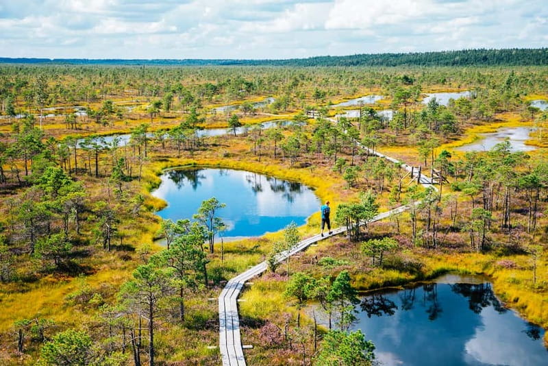 From Riga: Jurmala and Great Kemeri Private Full-Day Trip - Jurmalas streets, beaches, and local food