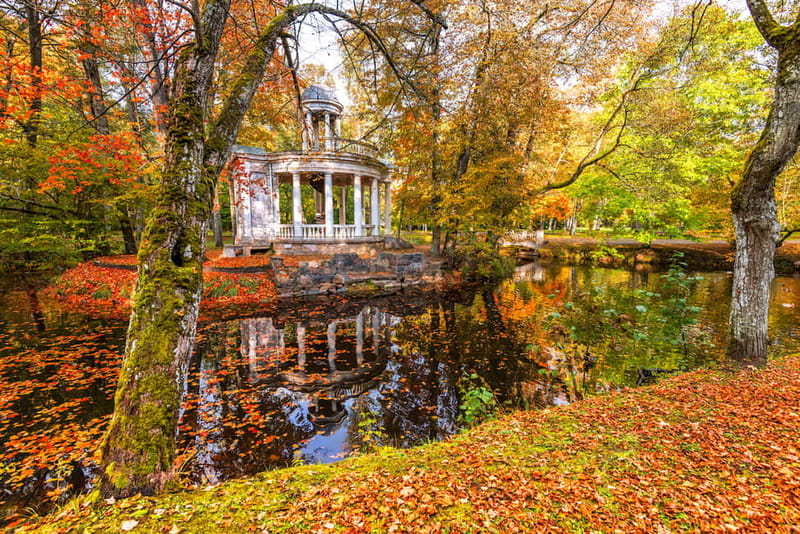 From Riga: Jurmala and Great Kemeri Private Full-Day Trip - A private van makes the timing easier