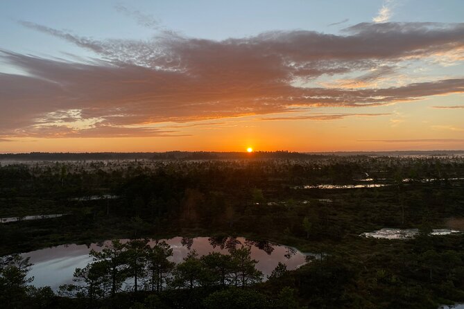 From Riga: Kemeri Bog Boardwalk and Jurmala Seaside - Key points to know before booking