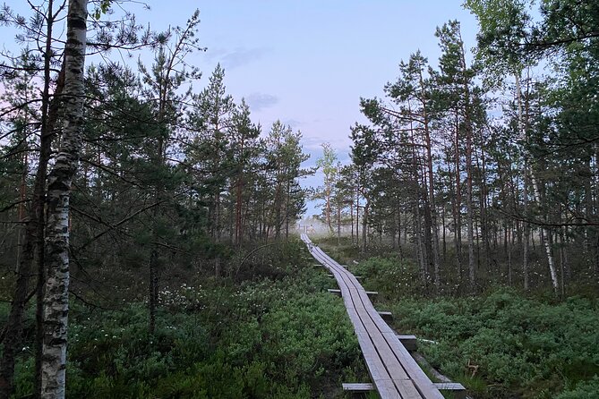 From Riga: Kemeri Bog Boardwalk and Jurmala Seaside - Why this Riga day trip works so well