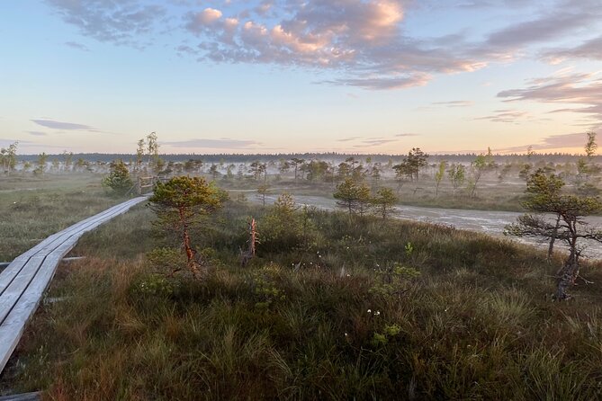 From Riga: Kemeri Bog Boardwalk and Jurmala Seaside - Guides who make the outing personal
