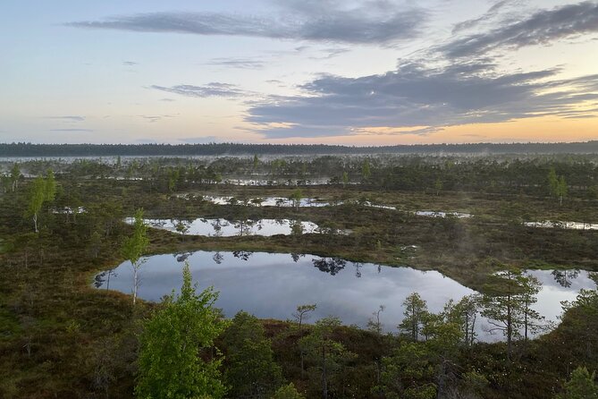 From Riga: Kemeri Bog Boardwalk and Jurmala Seaside - Is $114.28 a fair price?