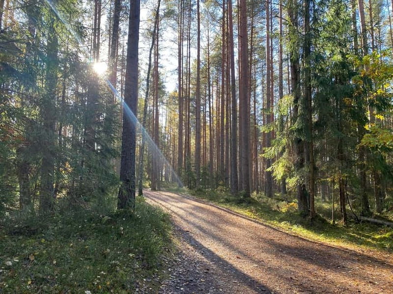 From Riga: Kemeri Bog & Seaside Jurmala - Why This Six-Hour Excursion Works
