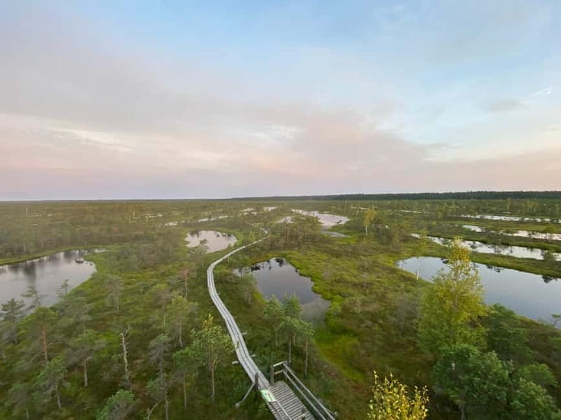 From Riga: Kemeri Bog & Seaside Jurmala - Walking the Ķemeri Bog Boardwalk