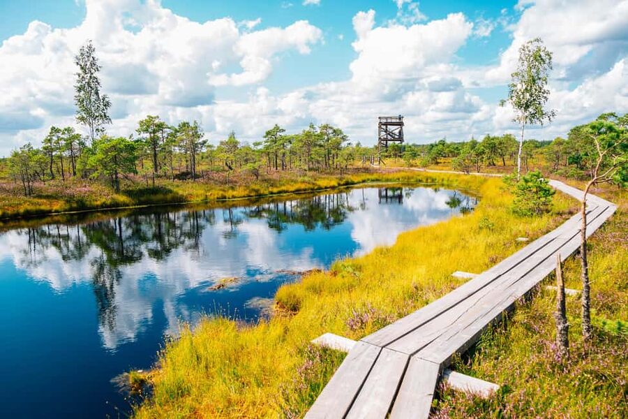 From Riga: Kemeri Bog & Seaside Jurmala - Seeing Ķemeri’s Former Spa Grandeur