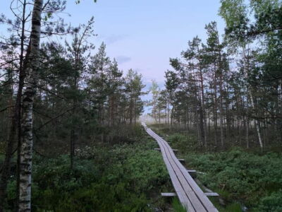 Kemeri Bog & Seaside Jurmala