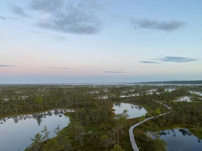 From Riga: Kemeri Bog & Seaside Jurmala - Jomas Street: Cafés, Shops, and a Short Break