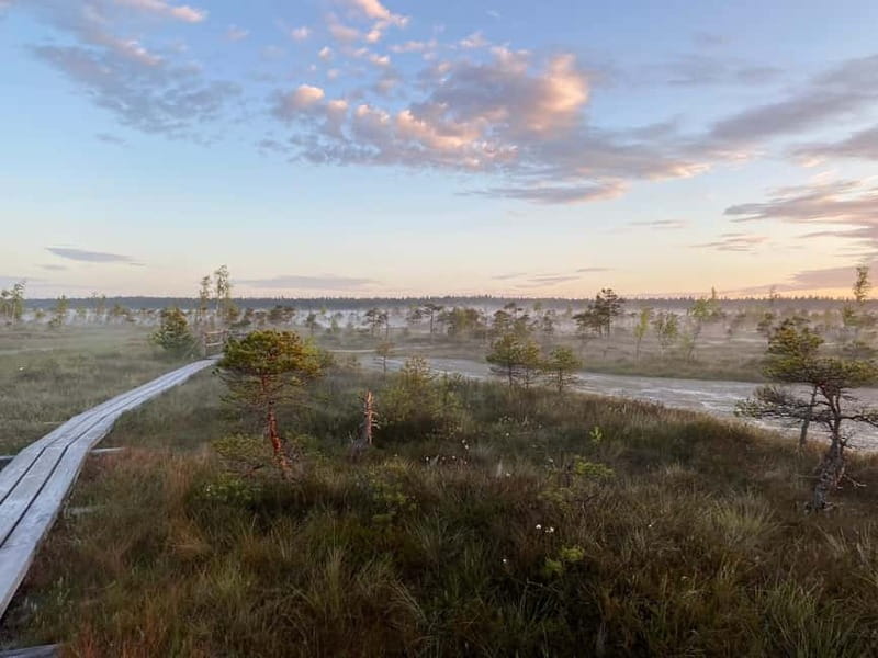 From Riga: Kemeri Bog & Seaside Jurmala - Maria and the Human Side of Latvia