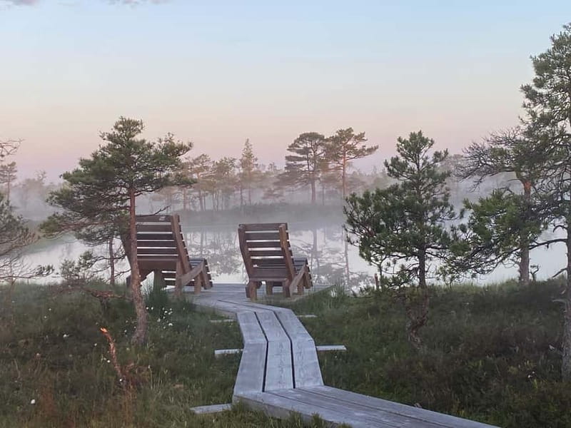 From Riga: Kemeri Bog & Seaside Jurmala - Timing, Pace, and Practical Details