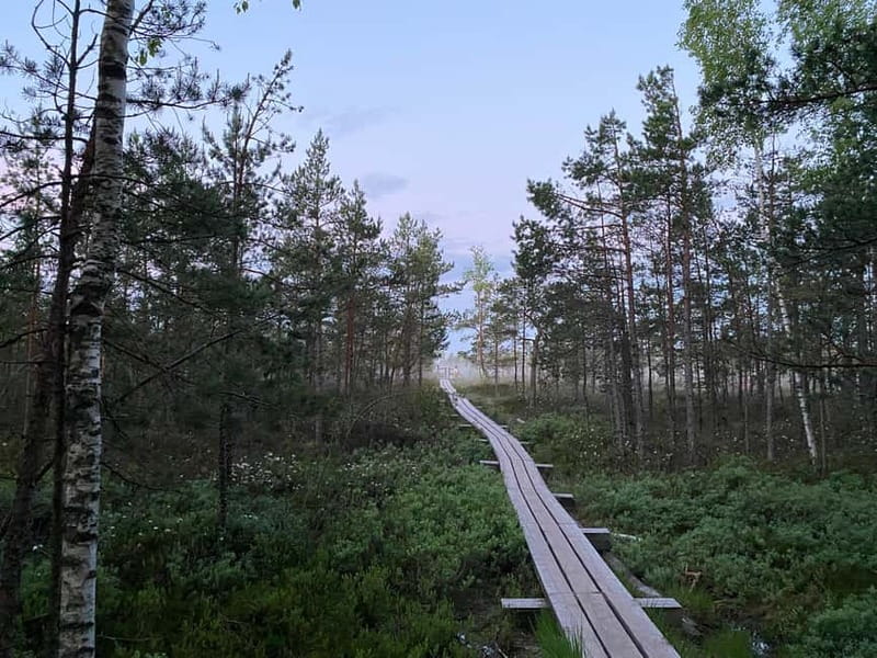 From Riga: Kemeri Bog & Seaside Jurmala - Ķemeri National Park Beyond the Path