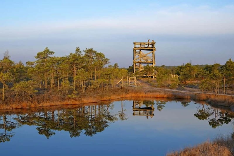 From Riga: Kemeri National Park and Kuldiga Tour - Key points before you book