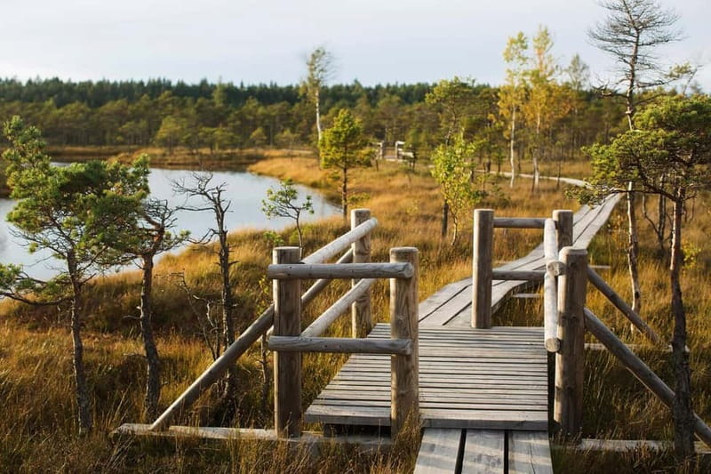 From Riga: Kemeri National Park and Kuldiga Tour - Why this Riga day trip is worth considering