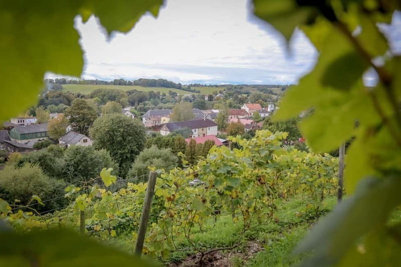 From Riga: Kuldiga UNESCO, Waterfall & Wine Day Trip - Who will enjoy this day most