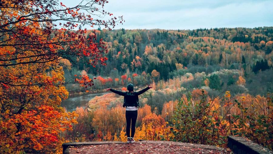From Riga: Sigulda and Turaida Legends Tour - Sigulda Castle And The Livonian Order