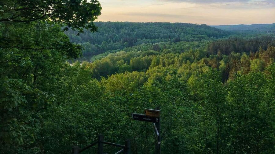 From Riga: Sigulda’s Top Sights & Scenic Picnic (EN/DE/ESP) - Turaida Castle, the day’s strongest historical stop